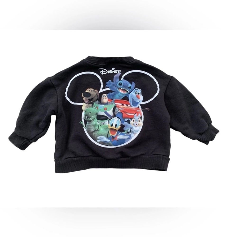 Zara Disney sweater